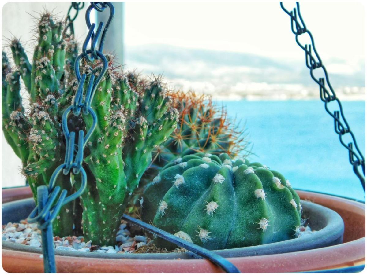 Littlevenice Appartme 50M From Sea Trogir Luaran gambar